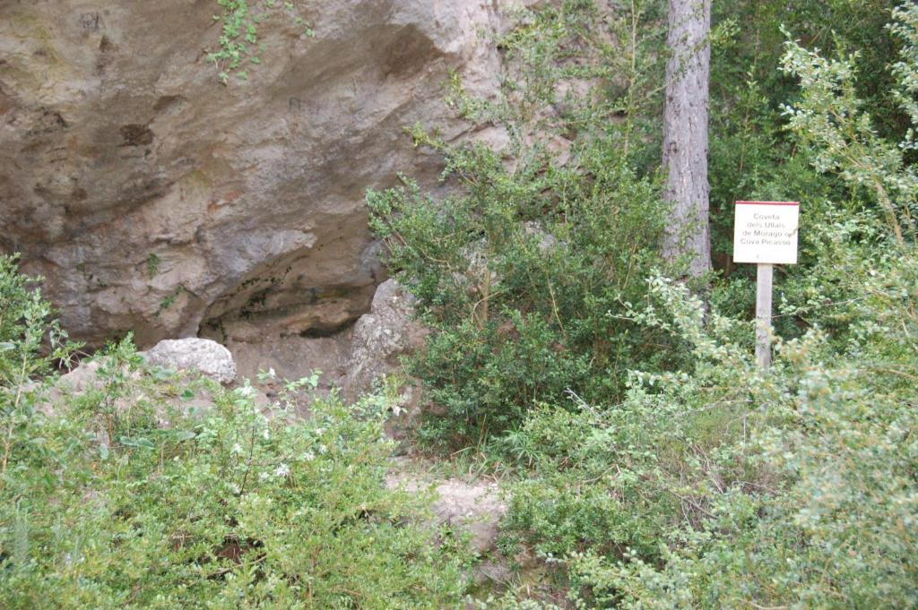 Camping Terra Alta Bot Екстериор снимка